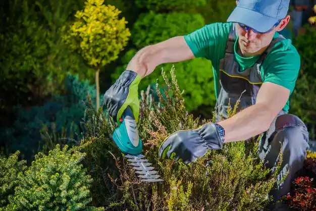 landscaping services Lewisport